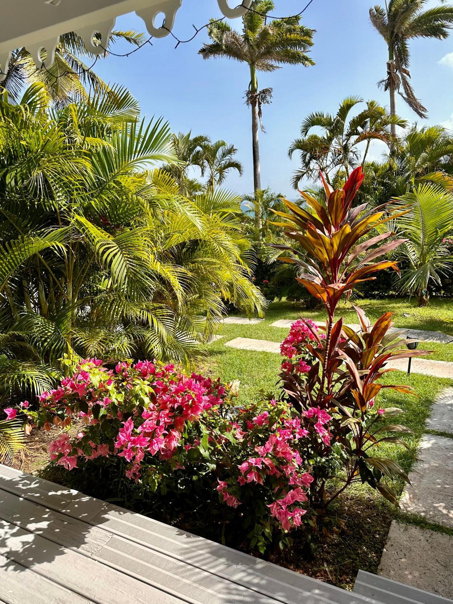 Résidence Cocody Sainte-Anne  Extérieur photo